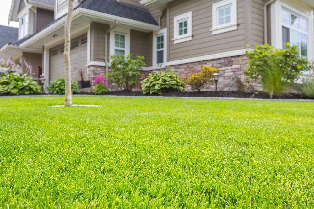 Creating A Balanced Front Yard