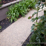 A Better Driveway A gravel pathway bordered by green plants, including a rose bush with a red rose.