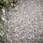 A Better Driveway Close-up of a gravel path with flowers along the edge.