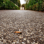 This driveway says simply, 'welcome home'. A textured asphalt driveway with a brown leaf, bordered by green hedges leading to an arched entrance.